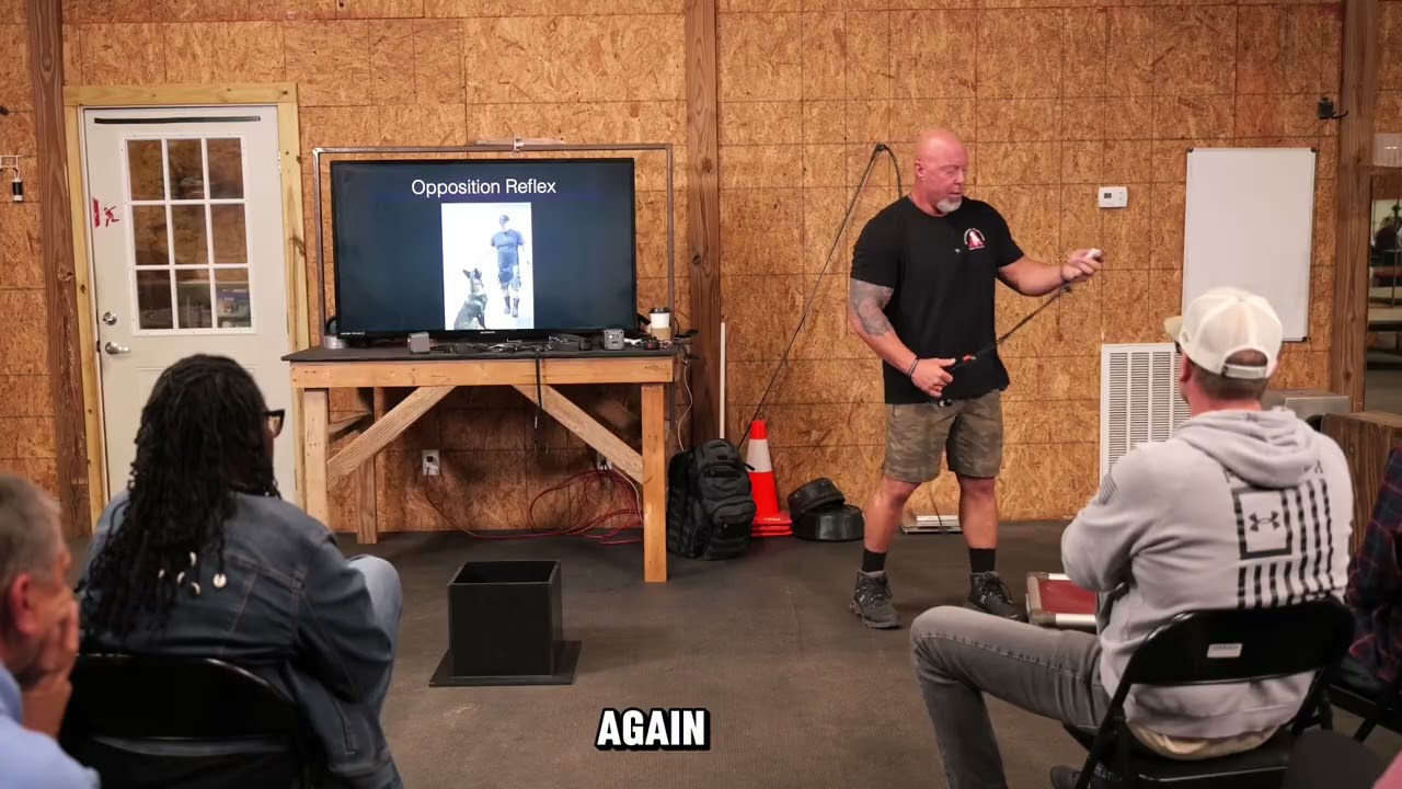💥THE POWER OF OPPOSITION REFLEX IN STABILIZING  OBEDIENCE💥