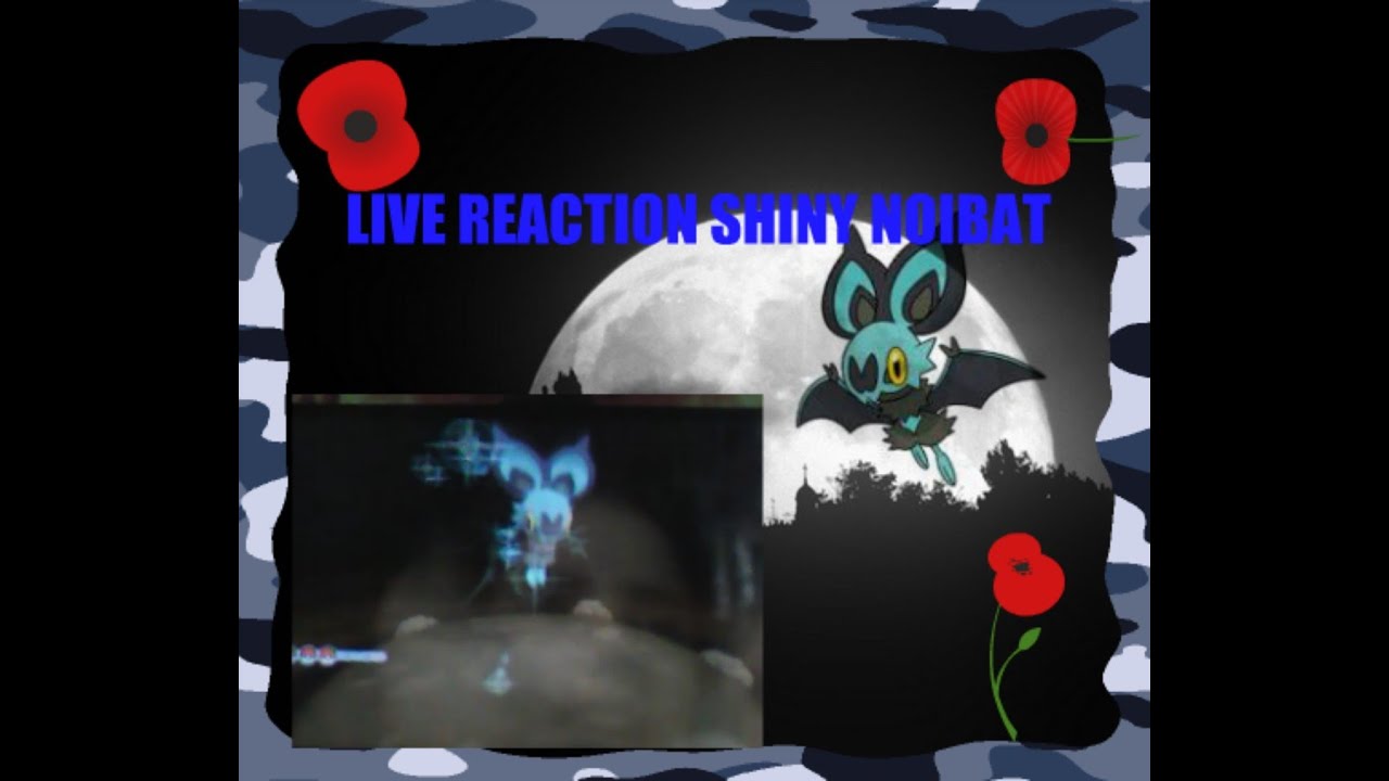 [LIVE REACTION SHINY NOIBAT AFTER 1894 SR]