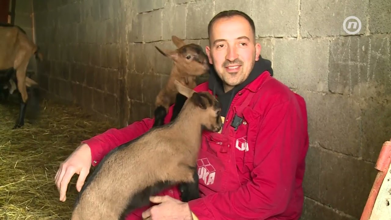 Svoj život sa kozama na selu nikada ne bi mijenjao za grad