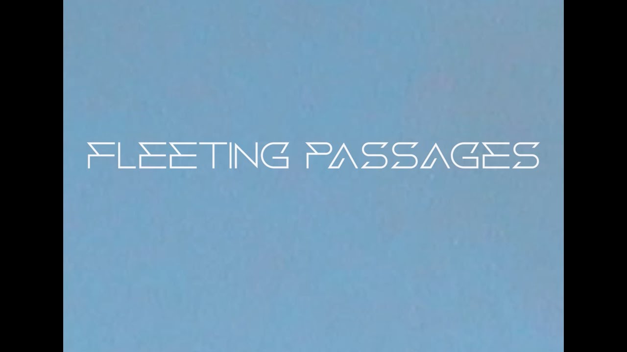 Gabi & Sabine - Fleeting Passages