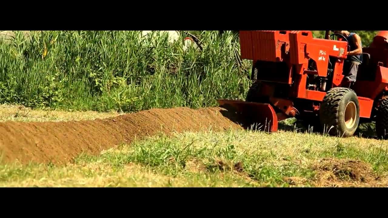 Felsfr&auml;se Ditch Witch Felsrad Schneiderad