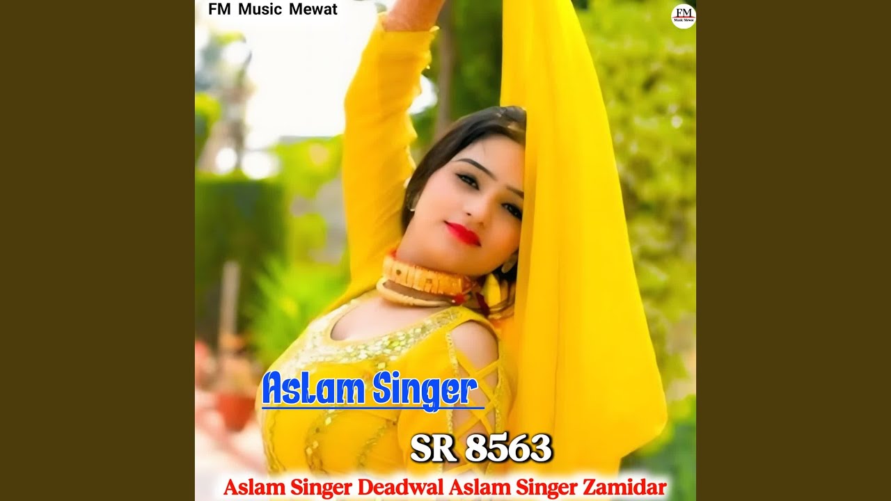 Aslam Singer SR 8563