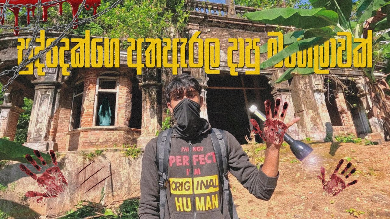 හද්දපරන අතඇරල දාපු බංගලාවක් බලන්න ගියා | abandoned bungalow | explorer abandoned places | explorer