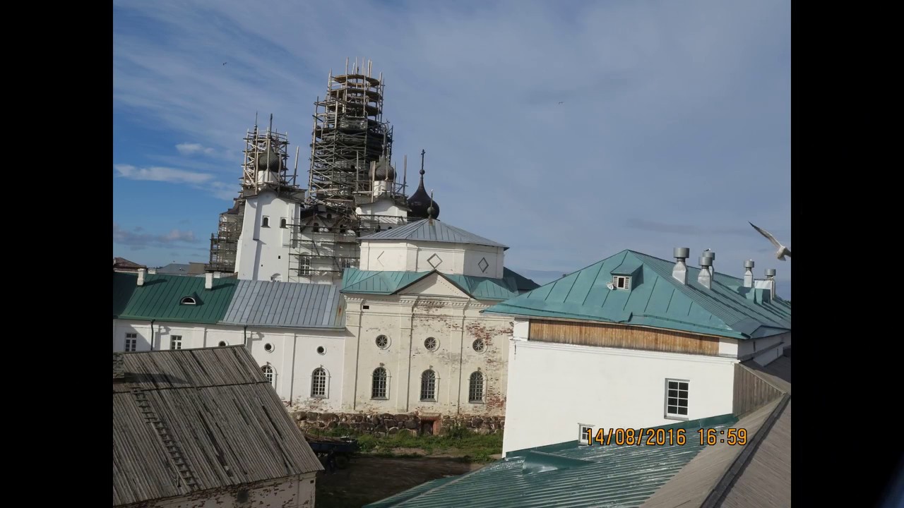 Белое море, чайки, Соловецкий монастырь ⛪ White sea gulls, the Solovetsky monastery