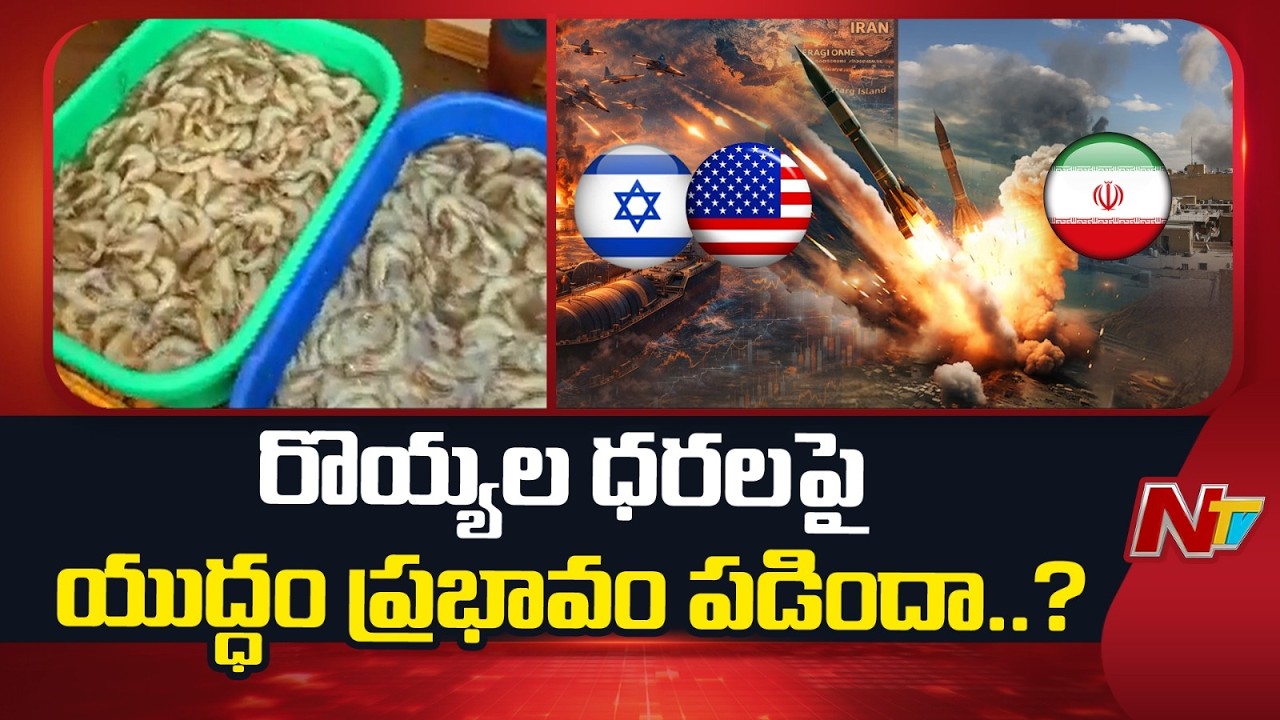 Prawn: రొయ్యల ధరలపై యుద్ధం ప్రభావం పడిందా..? | Special Report | NTV Telugu