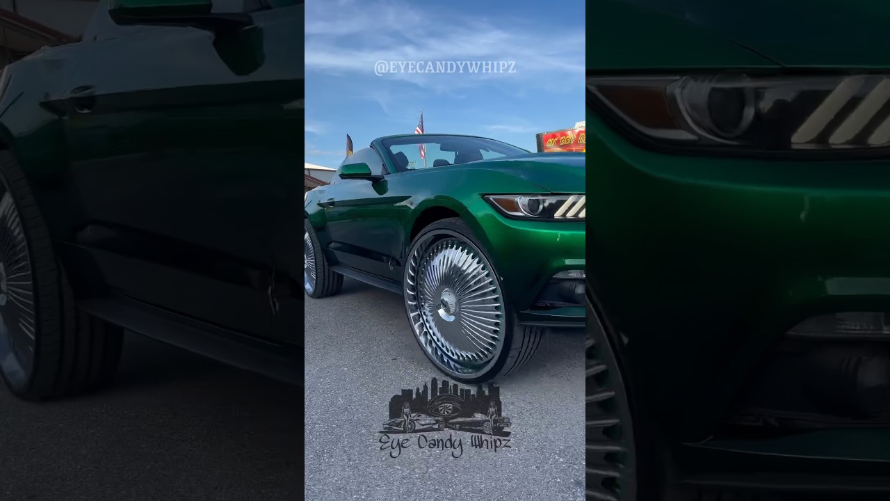 Mustang on Dub Floaters #florida #carshow #cars #wheels