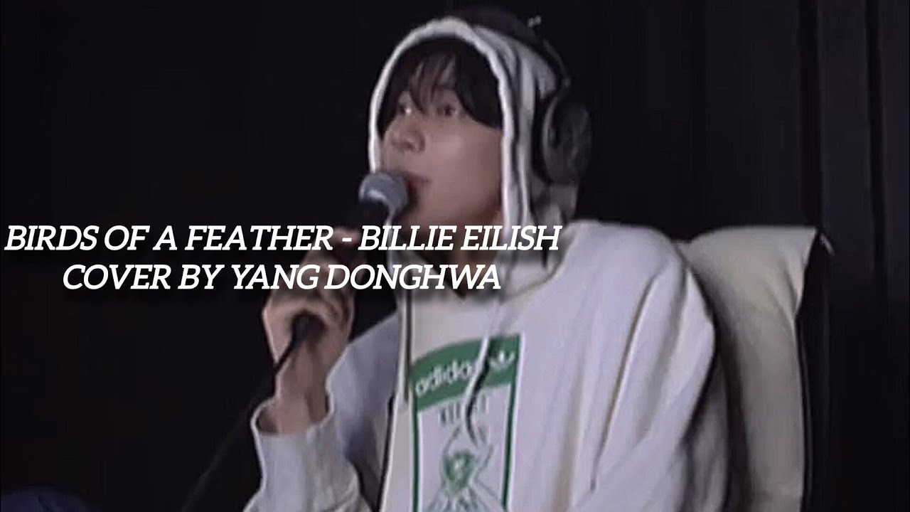 BIRDS OF A FEATHER - Billie Eilish Cover by YANG DONGHWA POLARIX