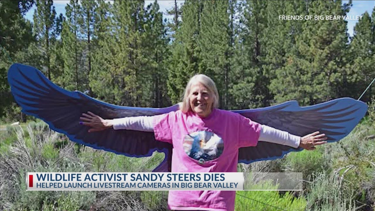 Wildlife activist Sandy Steers dies