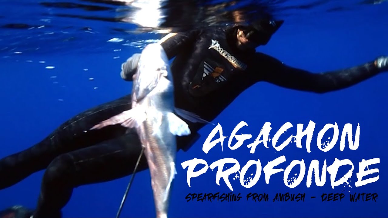 Agachon Profonde sur le Donator (Pagre) - Deep water ambush Spearfishing (Seabream)