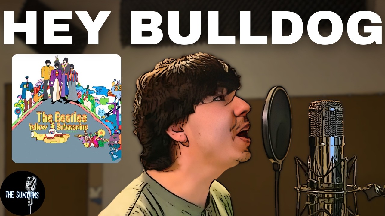 Hey Bulldog - The Beatles (Cover)