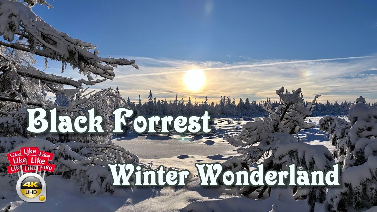 Winter Wonderland