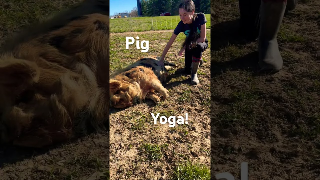 Farm Yoga!
