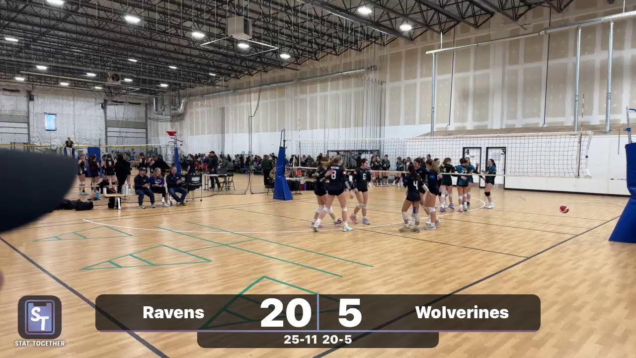 Ravens vs Wolverines