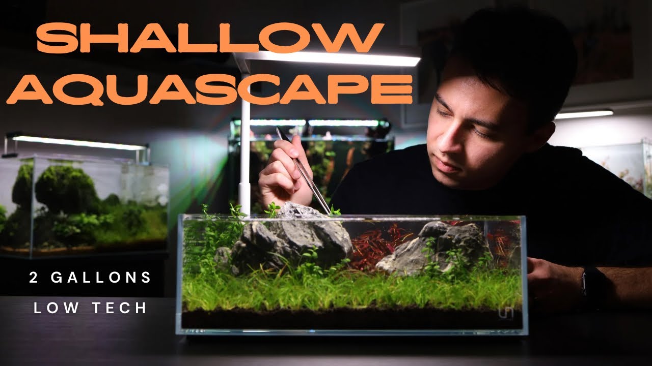 BUILDING an EASY Nano AQUARIUM!