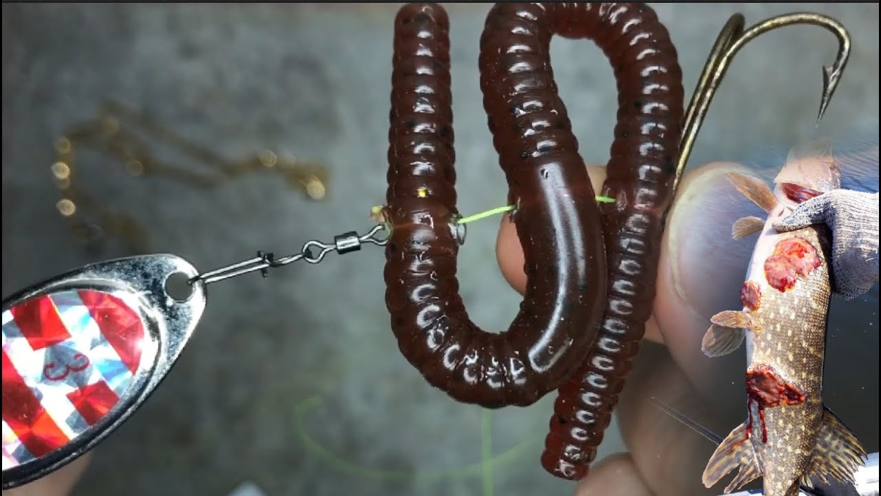 Pêche du BROCHET ! Worm de terre (artificiel)