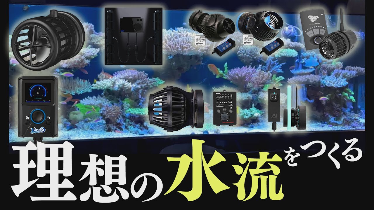 ウェーブ新時代！　ショップ オススメの “神ポンプ”《サンゴ水槽》【2022年10月号 vol.3】