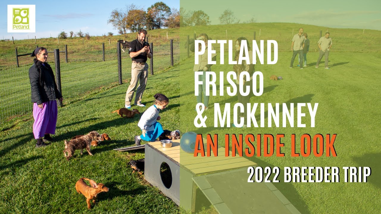 Petland Frisco & McKinney 2022 Breeder Trip (Long Form)