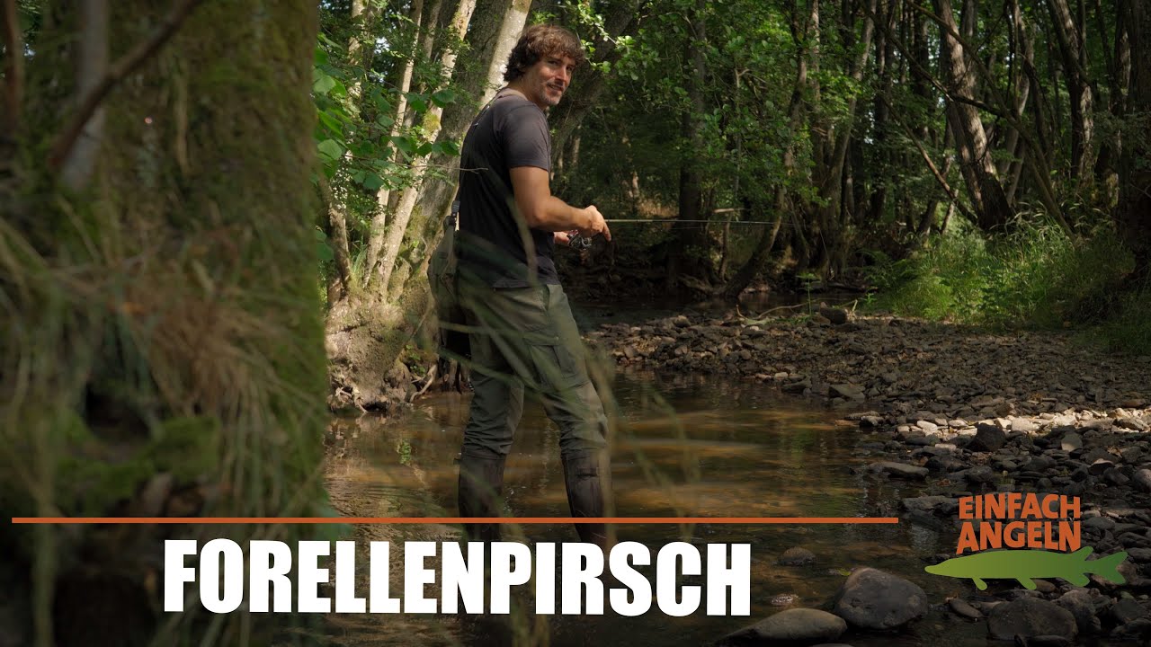 WILDE Bachforellen - GROẞE Fische im kleinen Waldbach!