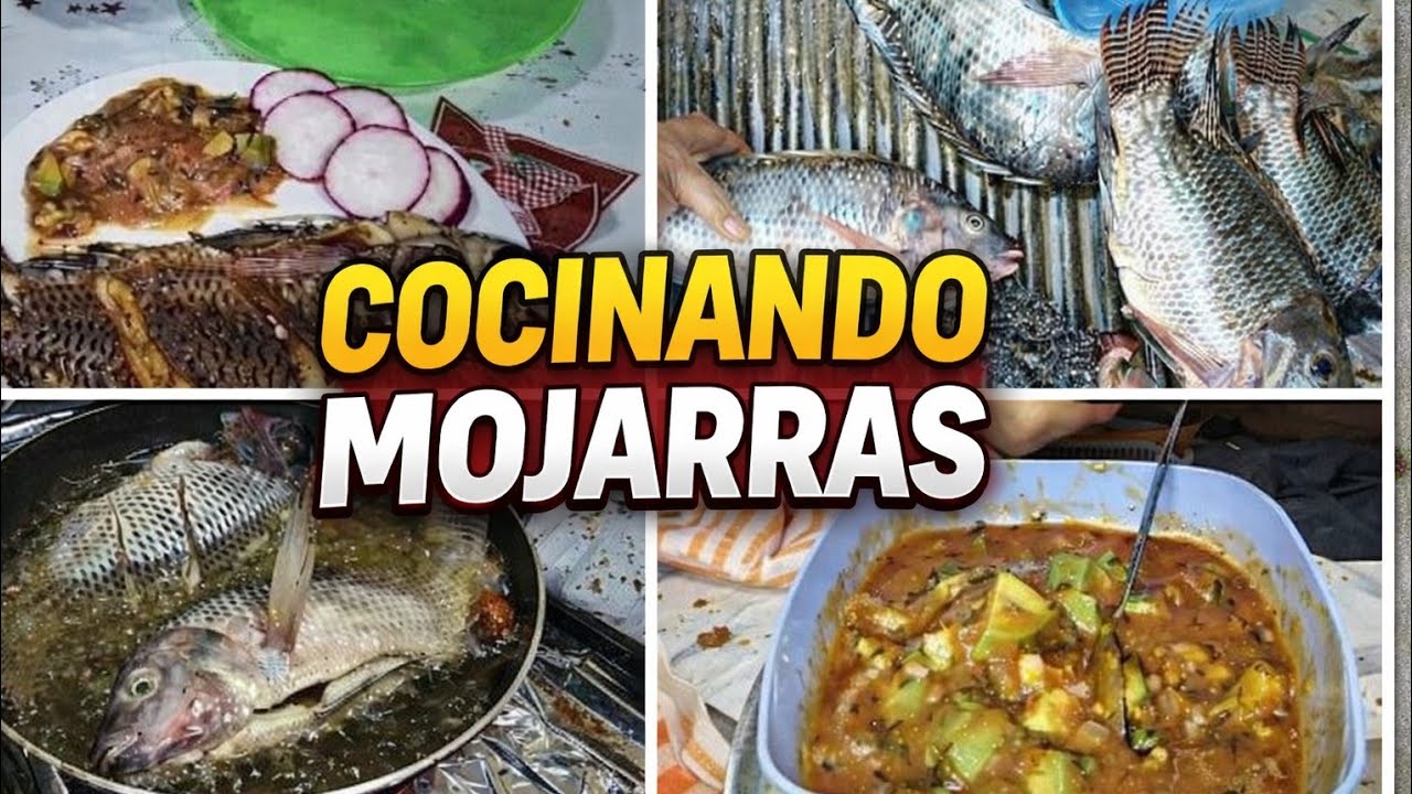 Mojarra frita con una rica salsa roja 🐟🫜🌶️