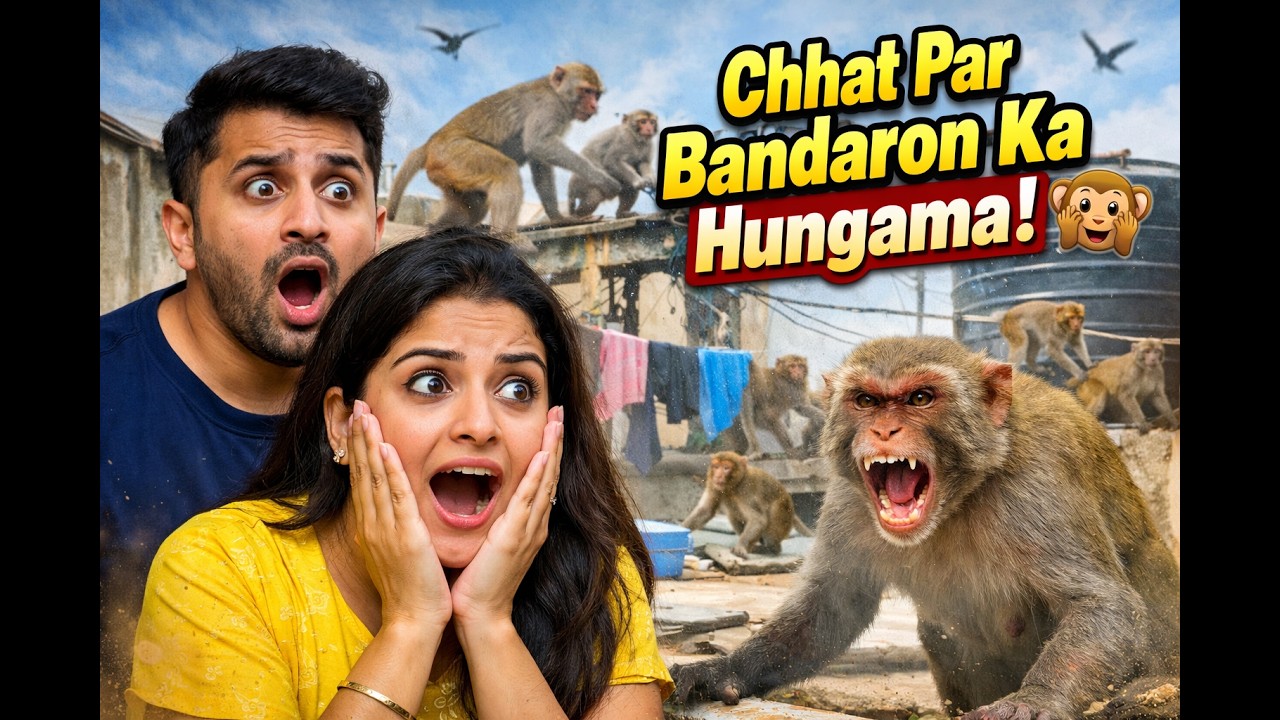Aaj Bandaron Ne Kar Diya Attack! 😨 | Ghar Ki Chhat Par Hungama | Vlog