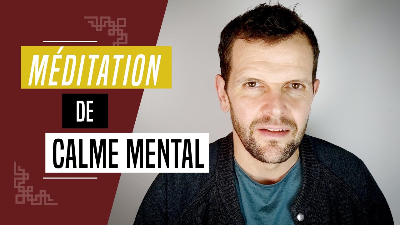 20 minutes de méditation de calme mental sur le souffle. En deux temps : clarté et stabilité | 2023