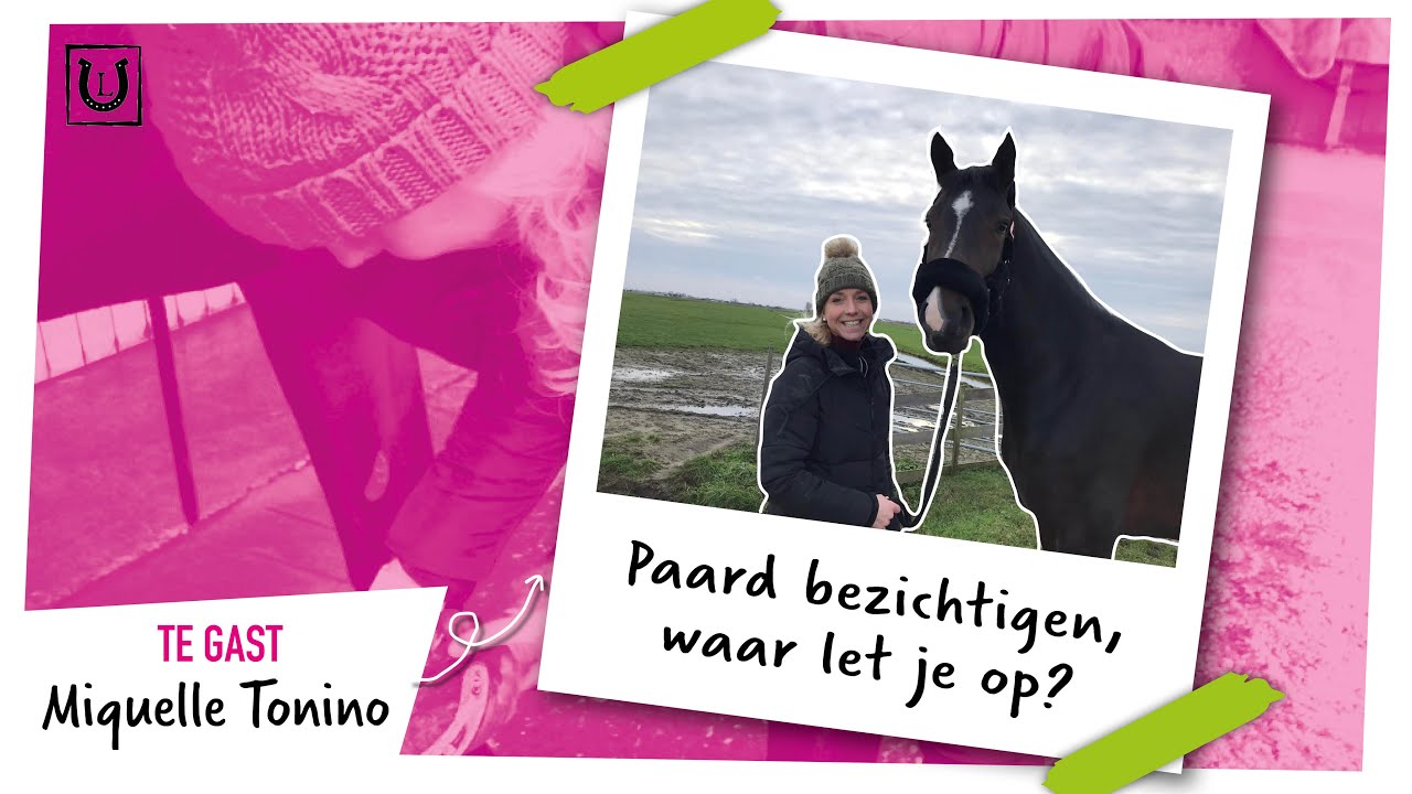 Waar let je op bij het bezichtigen van een paard? | EEN EIGEN PAARD #4 | likehorses