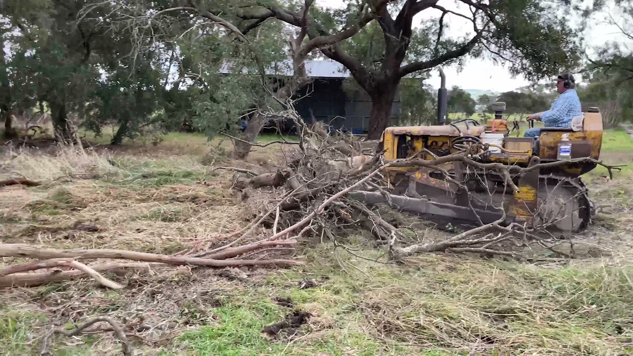 D47U Cat Bulldozer Pushing Trees | April 2021
