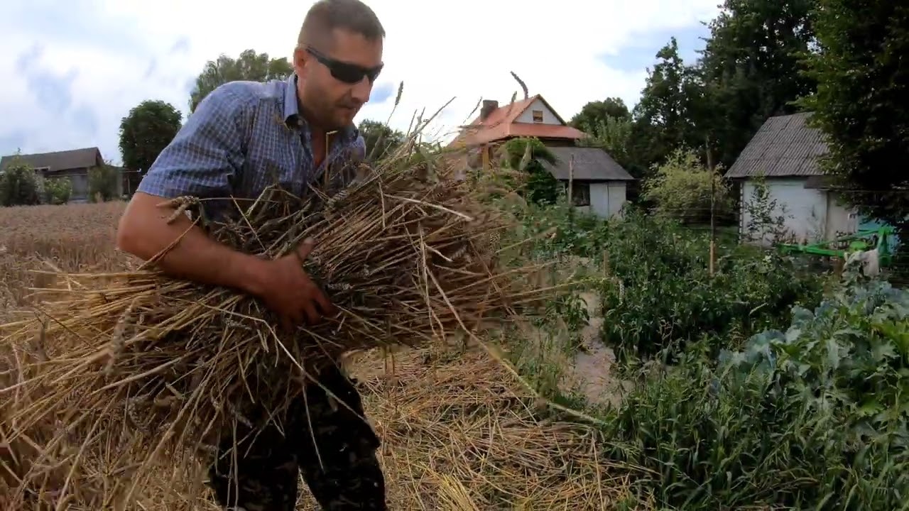 Snopki, dziesiątki ,powrusła  ......jak to kiedyś robiono