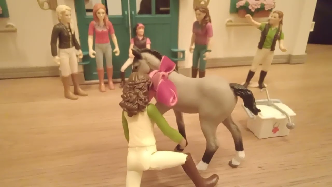 Vánoční dárek     🐎🐻‍❄️🎁