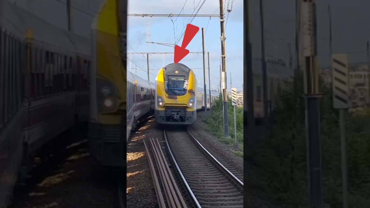 SNCB Train Belgium #railway #train #travel #shorts