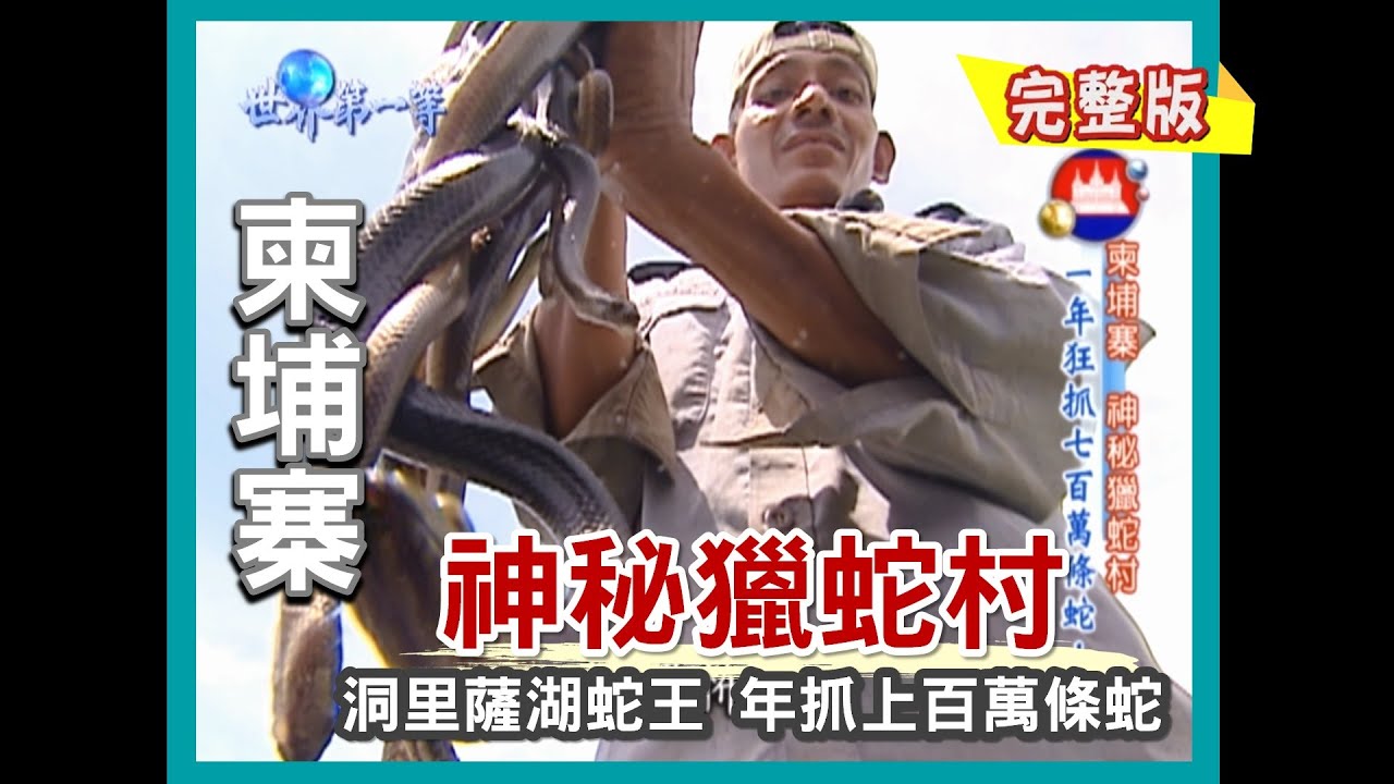 【柬埔寨】洞里薩湖蛇王  獵蛇村一年狂抓 700 萬條！（拜訪金邊市孤兒院寵物大蜥蜴） ｜《世界第一等》260集小馬完整版