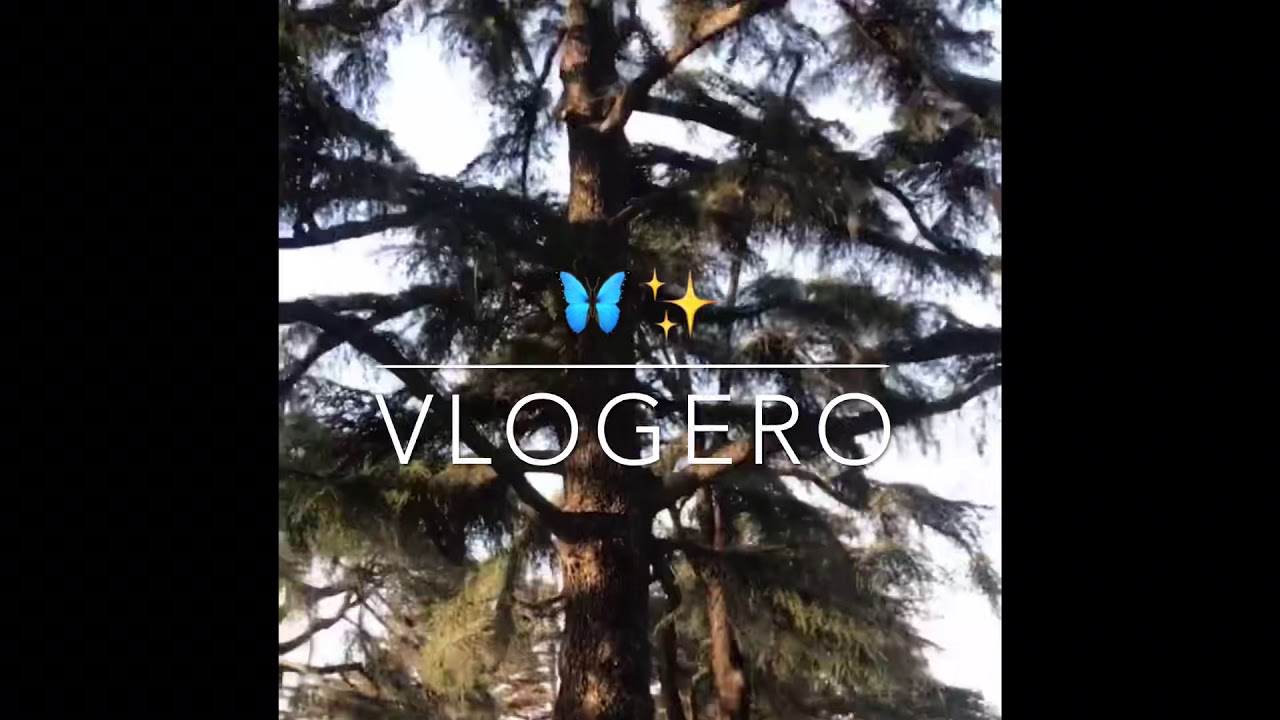 VLOGERO🌙🌸