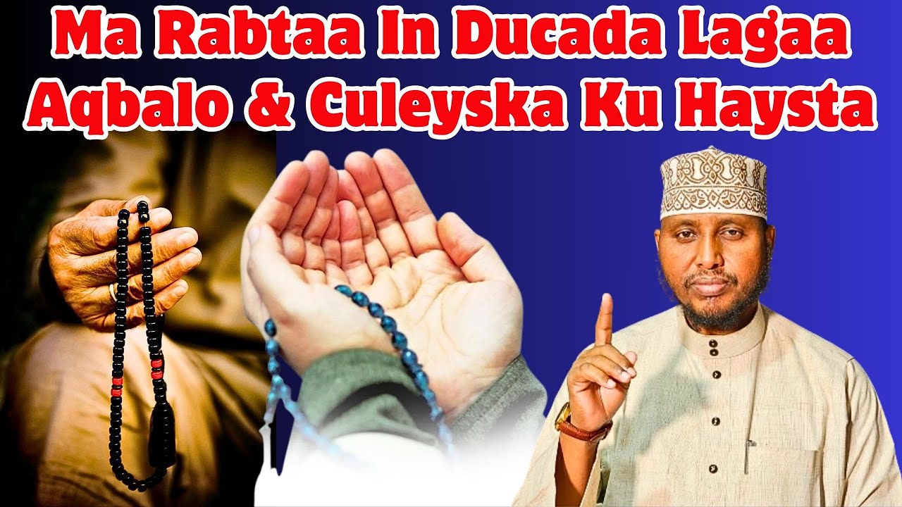 Ma Rabtaa In Ducada Lagaa Aqbalo & Culeyska Ku Haysta Sh Shafici
