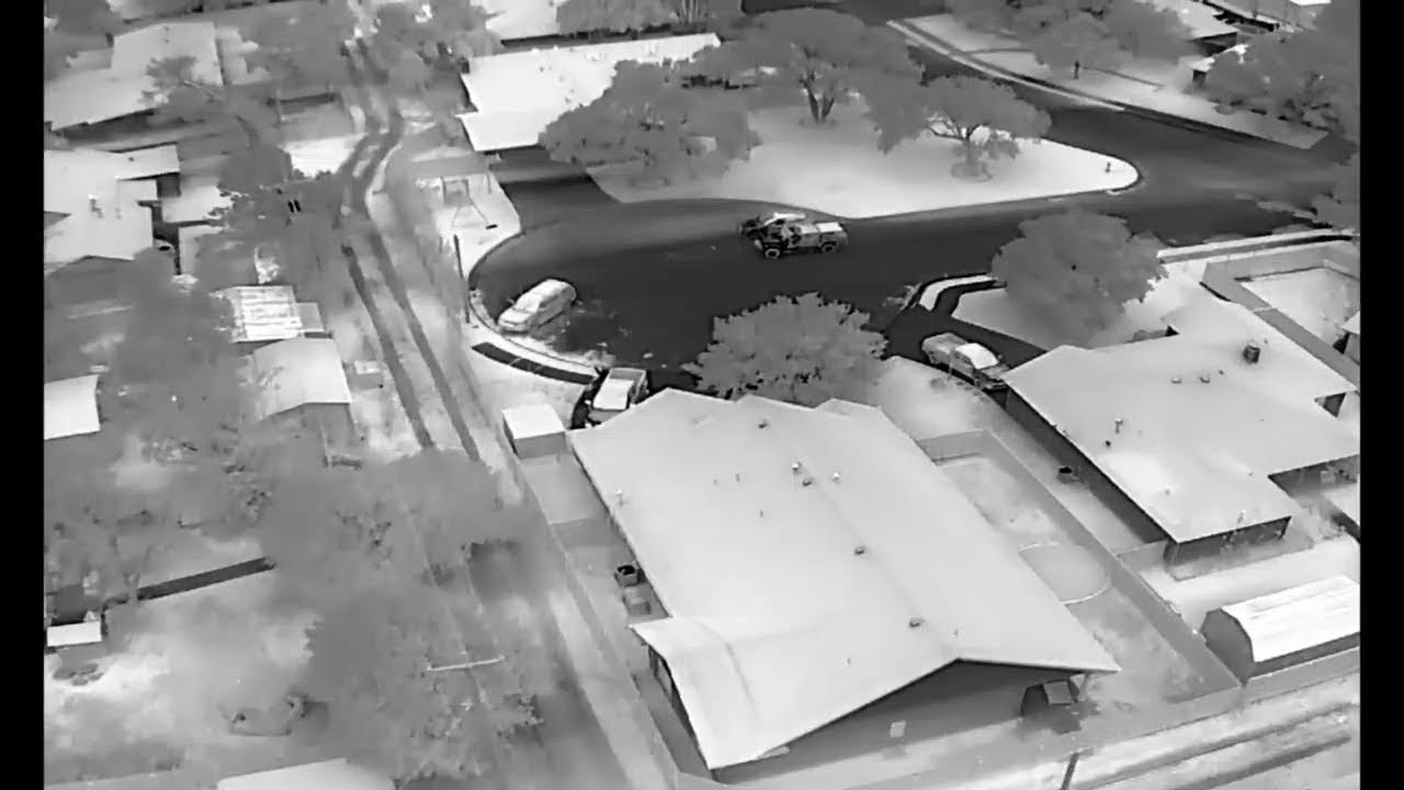 Lost Pet Search and Rescue: