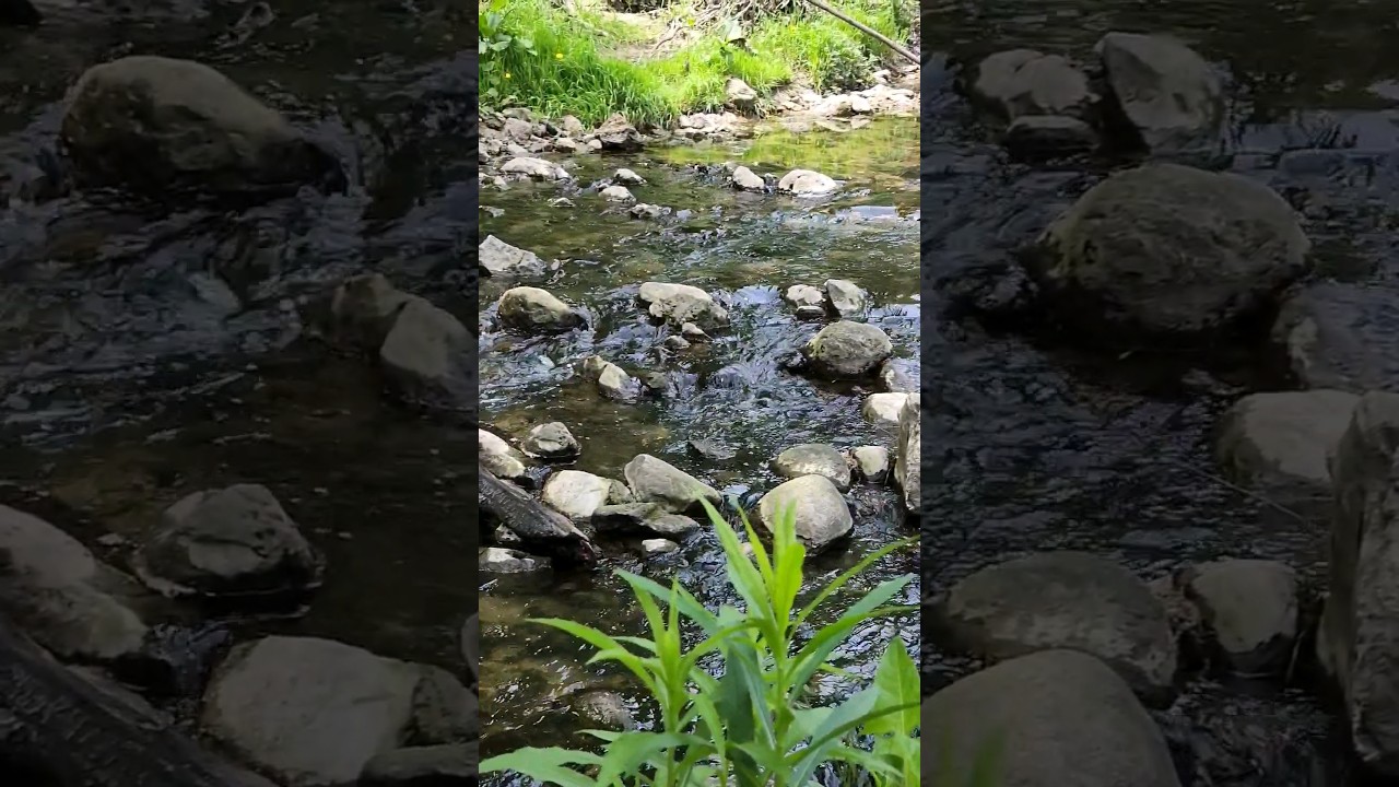 Stream Flowing Sounds - Running Water Sounds