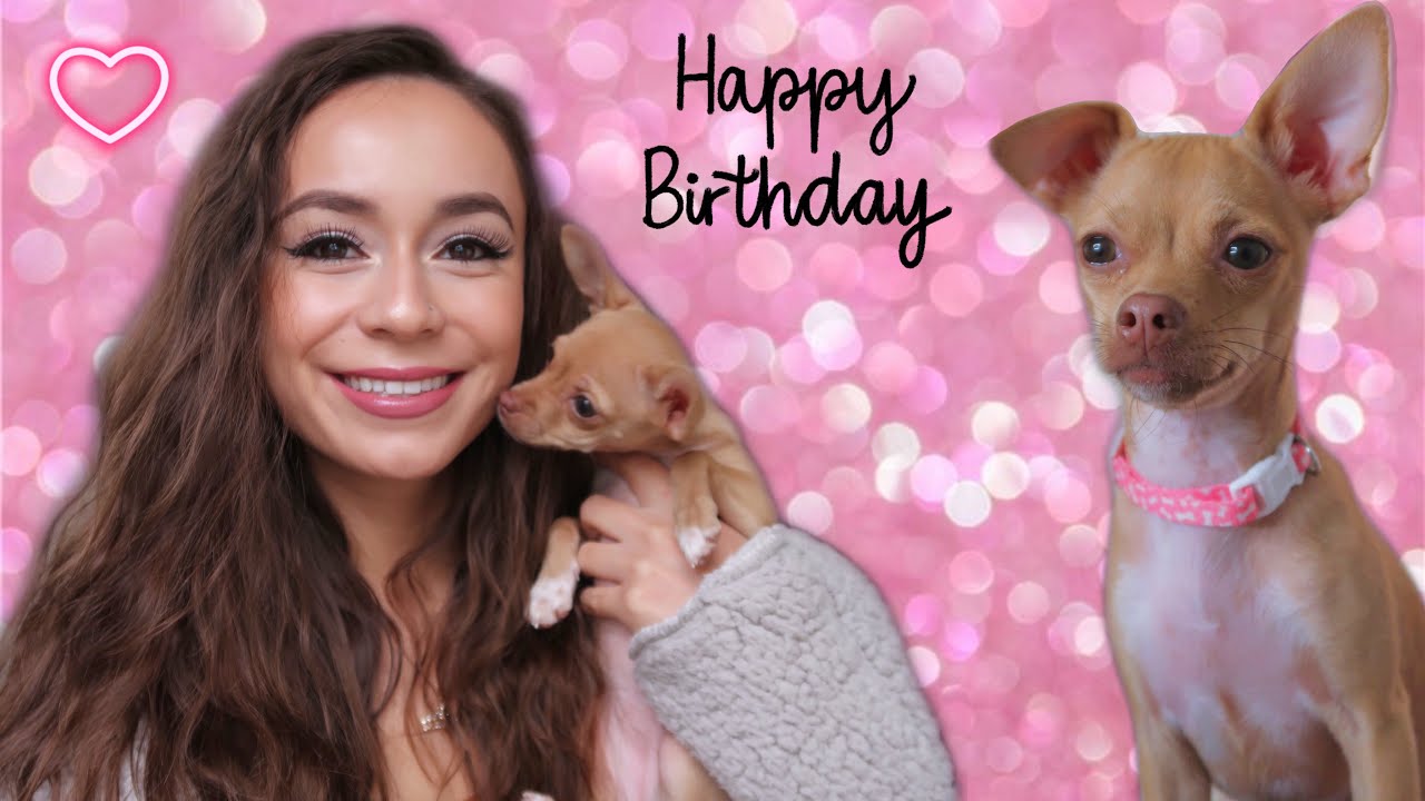 CELEBRATING AMORA’S 1st BIRTHDAY 🎉 | Petsmart Trip + Play Time + Cake + Wrestling Session