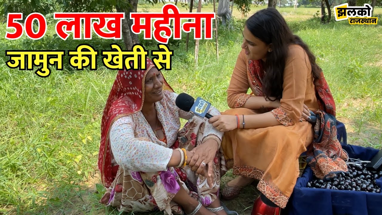 Pushkar के फेमस Jamun जिनकी Kheti से Kisan कमाते है लाखों रुपये, देखिए कैसे | Jhalko Rajasthan