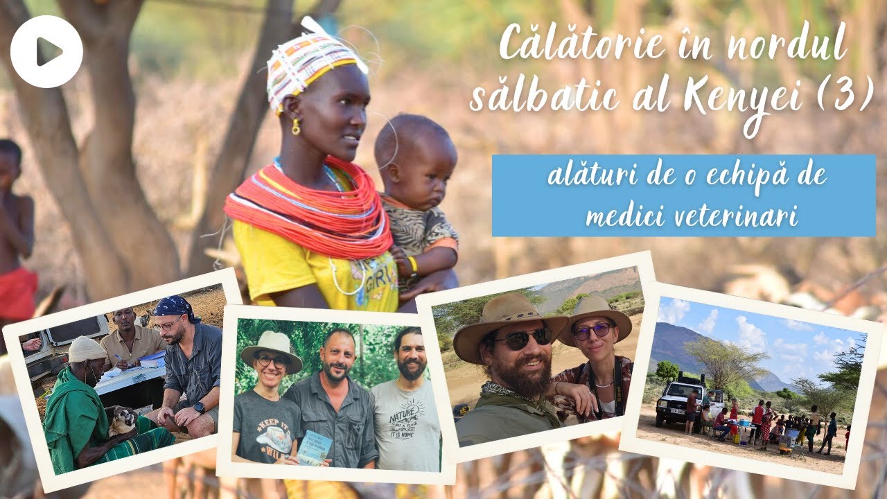 Călătorie în nordul sălbatic al Kenyei (III) alături de o echipă de medici veterinari  #explorekenya