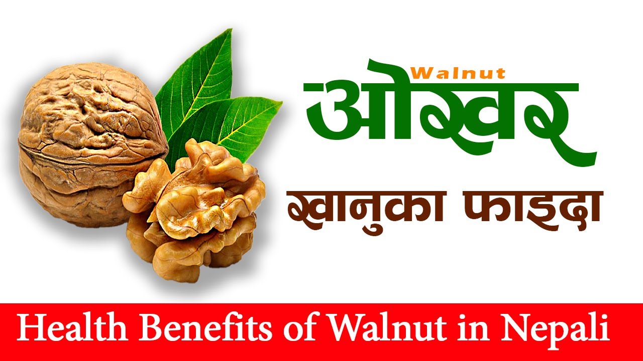 ओखर खानुका फाइदाहरु | Health benefits of eating walnut (Okhar) in Nepali | Health tips | Naya Health
