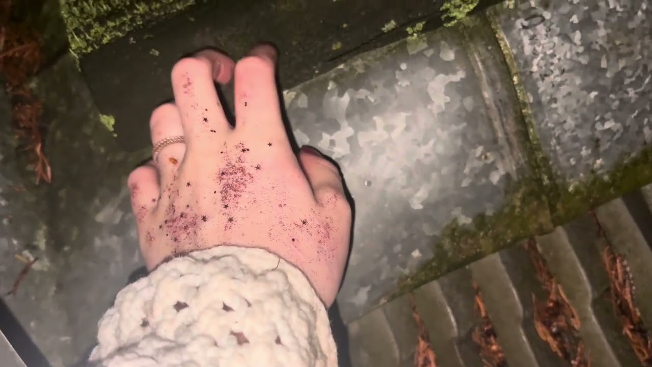 ASMR tapping in a Forest/Park. Nature sounds. Dark ASMR.🌳🌙