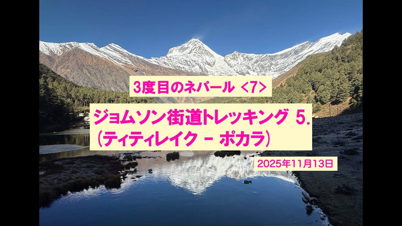 ジョムソン街道トレッキング 5. (ティティレイク- ポカラ) 3度目のネパール (7)2025.11