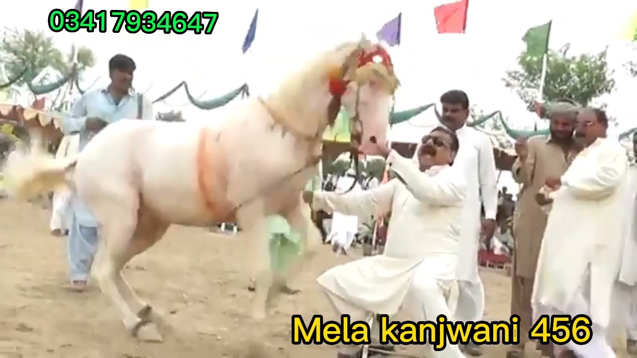 Horse Dance.Ghoda naach.peer pappu Shah quraishi.mela kanjwani.456