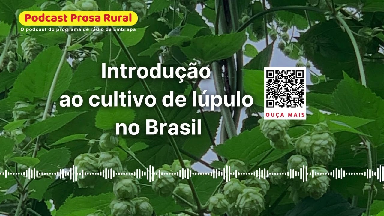 Introdução ao cultivo de lúpulo no Brasil