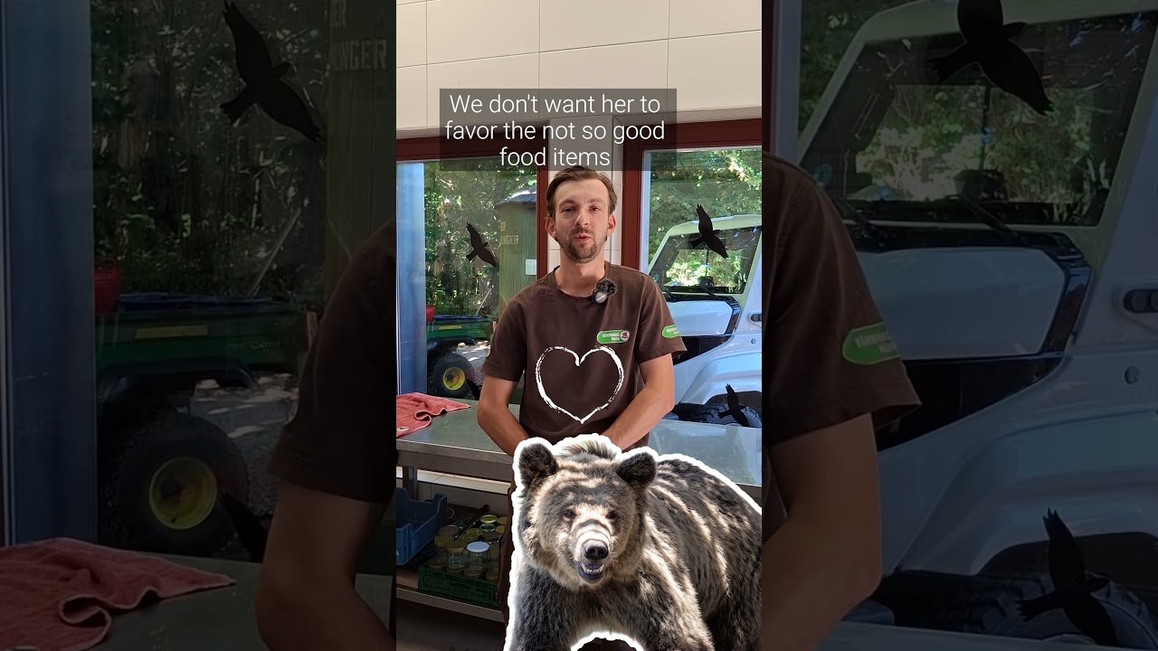 Part 2: Get ready with BEAR SANCTUARY Müritz for Flora’s rescue & the Bear Chefs | FOUR PAWS |