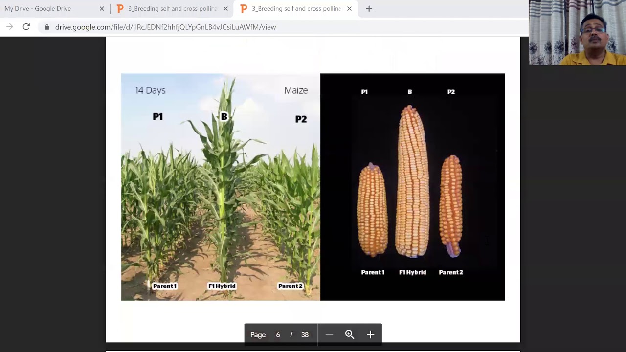 Breeding methods for self pollinated crops part I