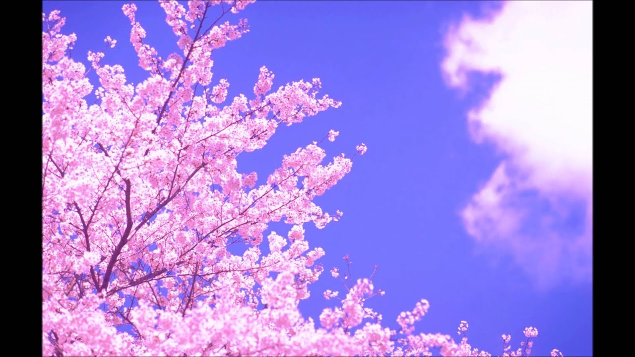 まゆみ  秦基博×KAN