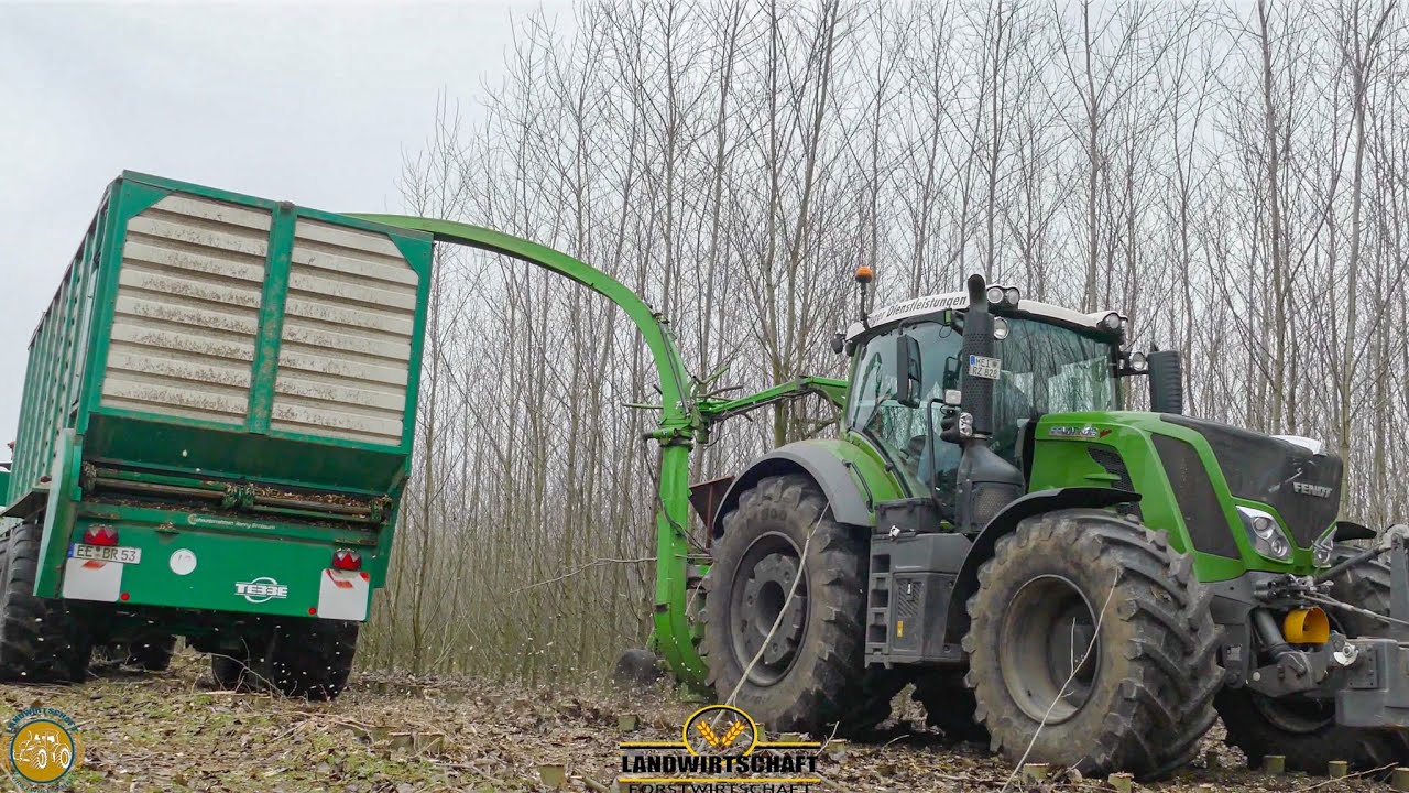 Energie Holzernte Fendt 828 Vario ,, Schradenholz'' 10m Pappel Kurzumtriebsplantage häckseln 2021