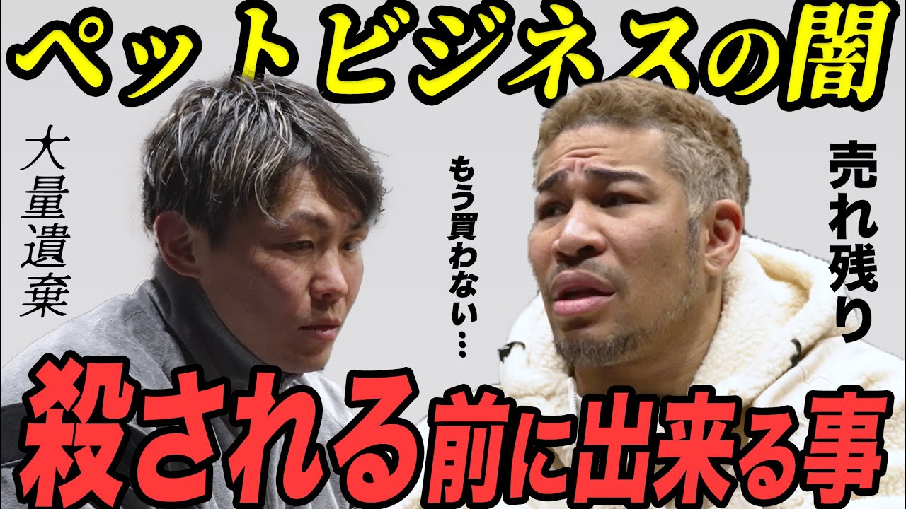 動物の幸せとは？命とは？ペットビジネスについて細川バレンタインさんと議論しました。