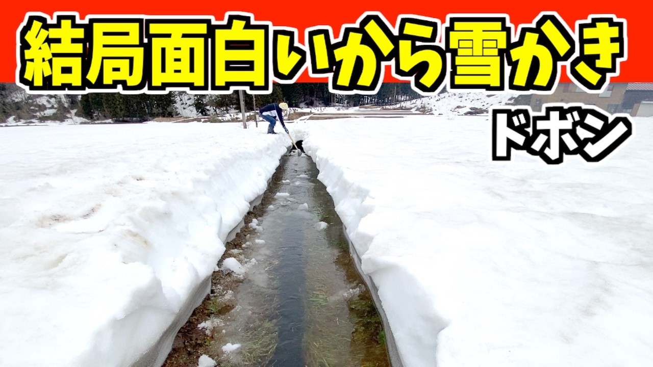 【ドボン】2025-04-14（月）水路上の雪をもっと落とせ！武七の除雪・雪かき日記　snow removal ASMR
