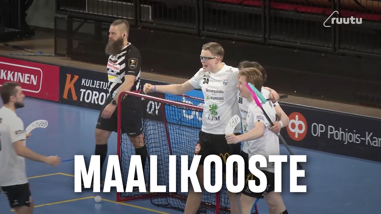 Maalikooste: Josba - Karhut (Inssi-Divari M)